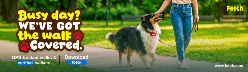 Ad campaign | Marketing